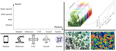 Plant disease recognition datasets in the age of deep learning: challenges and opportunities